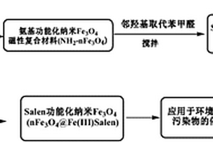 Fe(III)?Salen功能化納米Fe3O4 復(fù)合材料、制備方法及其應(yīng)用