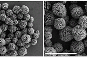 Fe<Sub>3</Sub>O<Sub>4</Sub>/Ni/N-RGO太陽能電池高效電極的復(fù)合材料及其制備方法