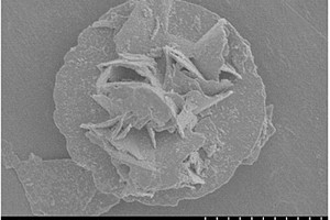 g?C<sub>3</sub>N<sub>4</sub>納米顆粒/花狀BiOI復合材料的制備方法