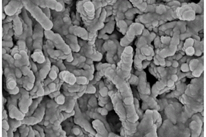 具有核殼結(jié)構(gòu)特征的Ni<sub>6</sub>MnO<sub>8</sub>@碳納米管復(fù)合材料及其制備方法和應(yīng)用