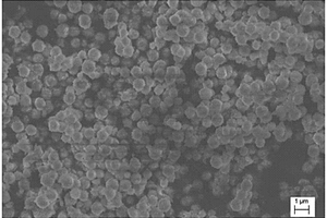 N摻雜的碳包覆的Mo<sub>2</sub>C/C功能復(fù)合材料的制備方法及其在鋰硫電池中的應(yīng)用