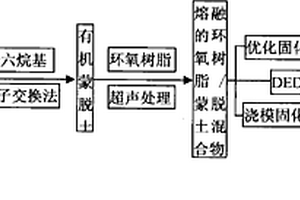 含聯(lián)苯結(jié)構(gòu)環(huán)氧樹脂/蒙脫土納米復合材料