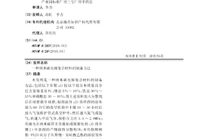 納米碳電極復(fù)合材料的制備方法