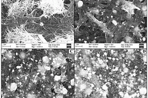 Ag-MnO<Sub>2</Sub>納米線復(fù)合材料及其制備方法與在檢測胸腺嘧啶含量中的應(yīng)用