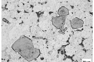 TiB<sub>2</sub>顆粒增強(qiáng)鋁基復(fù)合材料及其制備方法