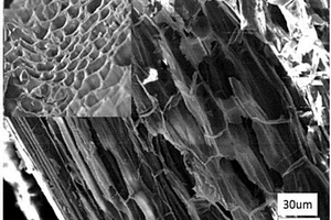 藕桿生物質炭鑲嵌氧化鐵復合材料及其制備方法、電極材料