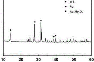 Ag/Ag<Sub>2</Sub>Mo<Sub>2</Sub>O<Sub>7</Sub>/WS<Sub>2</Sub>異質(zhì)結(jié)光催化材料在降解有機(jī)污染物中的應(yīng)用