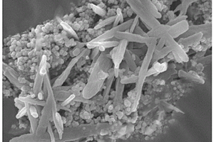 Ni/NiO/Ni<Sub>3</Sub>S<Sub>2</Sub>催化劑及其制備方法與應(yīng)用