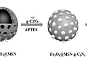 納米材料Fe<Sub>3</Sub>O<Sub>4</Sub>@MSN-g-C<Sub>3</Sub>N<Sub>4</Sub>-BTA在制備阿爾茲海默病藥物方面的應(yīng)用