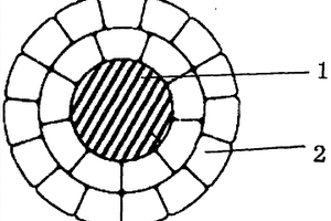 ACCC碳纖維復(fù)合芯鋁絞導(dǎo)線