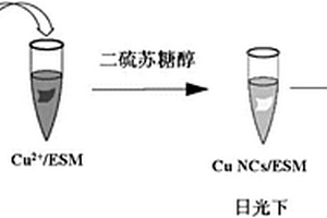 基于蛋殼膜平臺(tái)紅色熒光銅納米團(tuán)簇原位合成方法及應(yīng)用