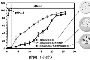 核殼結(jié)構(gòu)水凝膠微珠及其制備方法與應(yīng)用