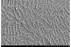 TiB<Sub>2</Sub>/Fe<Sub>64</Sub>Ni<Sub>36</Sub>復(fù)合涂層的其制備方法