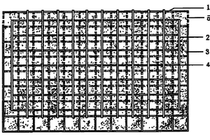 無土栽培植物盒的制作方法及應(yīng)用于植物墻構(gòu)建