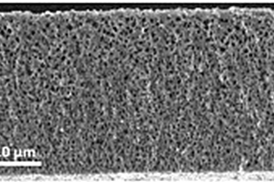 具有高催化活性的氮摻雜多孔碳膜及其制備方法和應(yīng)用