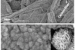 紙巾衍生碳纖維負載MoS<Sub>2</Sub>微米花復合材料的制備方法及其在鋰硫電池中的應用