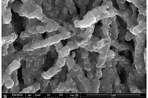 錳酸鋰、鈦酸鋰與TiO<Sub>2</Sub>復合物納米線及其制備方法