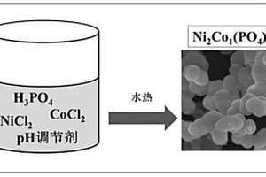 制備磷酸鈷鎳微球材料的方法