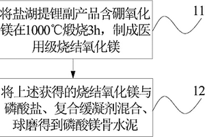 磷酸鎂骨水泥及其制備方法和應(yīng)用