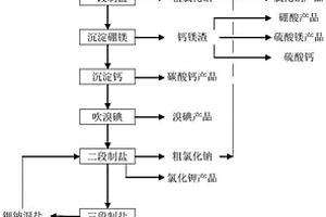 復雜地下鹵水綜合利用的方法