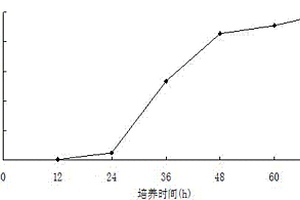 赤紅球菌SD3的誘變菌M1的固定化細(xì)胞及其在降解苯酚污染物中的應(yīng)用