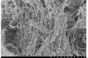 納米Co<Sub>3</Sub>O<Sub>4</Sub>/碳納米管一體式空氣電極催化材料的制備方法