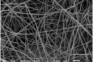 Li<sub>2</sub>TiSiO<sub>5</sub>-C納米纖維的靜電紡絲制備方法