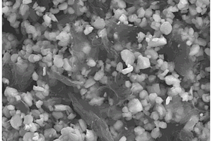 石墨烯/TiO<Sub>2</Sub>復合正極的制備方法