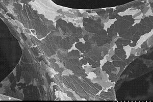 基于泡沫鎳生長的石墨烯為負極的鋰離子電池制作方法