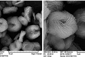 二維納米片組裝成3D花狀的磷酸鐵鋰正極材料的溶劑熱制備法