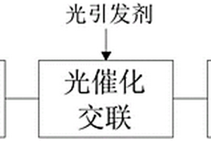 鋰離子電池的隔膜及其制備方法和用途