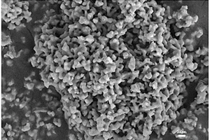 金屬元素?fù)诫sBi<sub>2</sub>O<sub>3</sub>材料的制備方法及其應(yīng)用