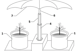 帶有自動防護(hù)傘的花盆