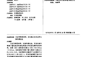 無(wú)定型碳質(zhì)材料,其電極以及有這種電極的蓄電池