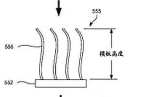 具有增強(qiáng)的黏附特性的模板電極結(jié)構(gòu)