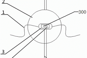 膝關(guān)節(jié)壓電采集器