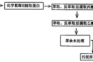 生產(chǎn)VB12的工業(yè)廢水的資源化處理工藝及其專用廢水處理機(jī)