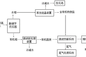 用于含苯酚鈉的高鹽有機(jī)廢水無害化處理裝置