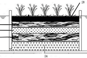用于處理工業(yè)廢水的人工濕地