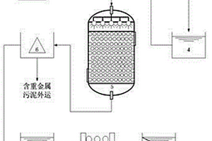 去除工業(yè)廢水中重金屬的處理系統(tǒng)