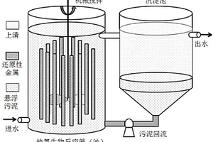 廢水生物深度處理技術(shù)