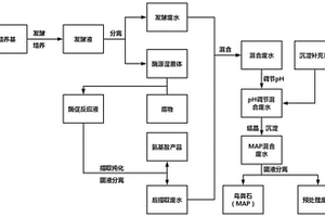 生物酶法生產(chǎn)氨基酸產(chǎn)生廢水的綜合處理方法及在制備鳥糞石中的應用