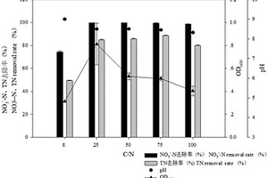 利用異養(yǎng)硝化-好氧反硝化的假單胞菌菌株處理硝酸鹽氮廢水的方法
