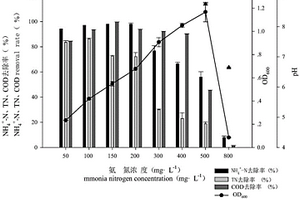 利用假單胞菌菌株YG8處理含氮廢水的方法
