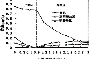 應用人工濕地處理循環(huán)海水養(yǎng)殖中廢水的方法