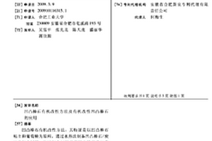 凹凸棒石有機(jī)改性方法及有機(jī)改性凹凸棒石的應(yīng)用