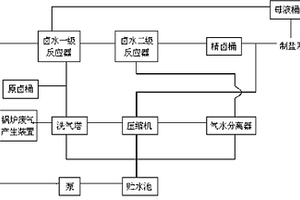 真空制鹽鹵水及鍋爐廢氣凈化處理裝置