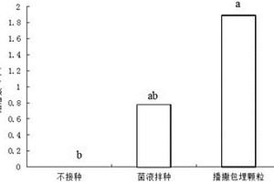 紫花苜蓿根瘤菌固定化包埋顆粒劑型的制備方法及其應(yīng)用