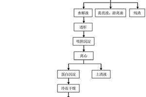 利用水酶法大豆水解液制備功能性蛋白復(fù)合物的方法