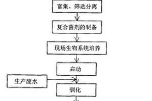 極端嗜鹽菌、及復(fù)合嗜鹽菌菌劑和應(yīng)用